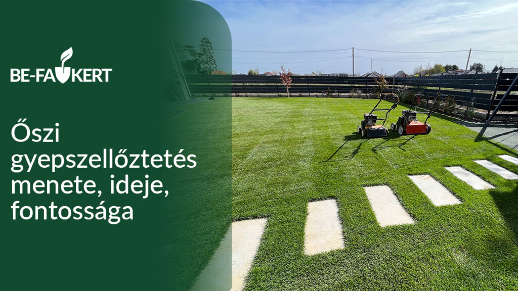 őszi gyepszellőztetés